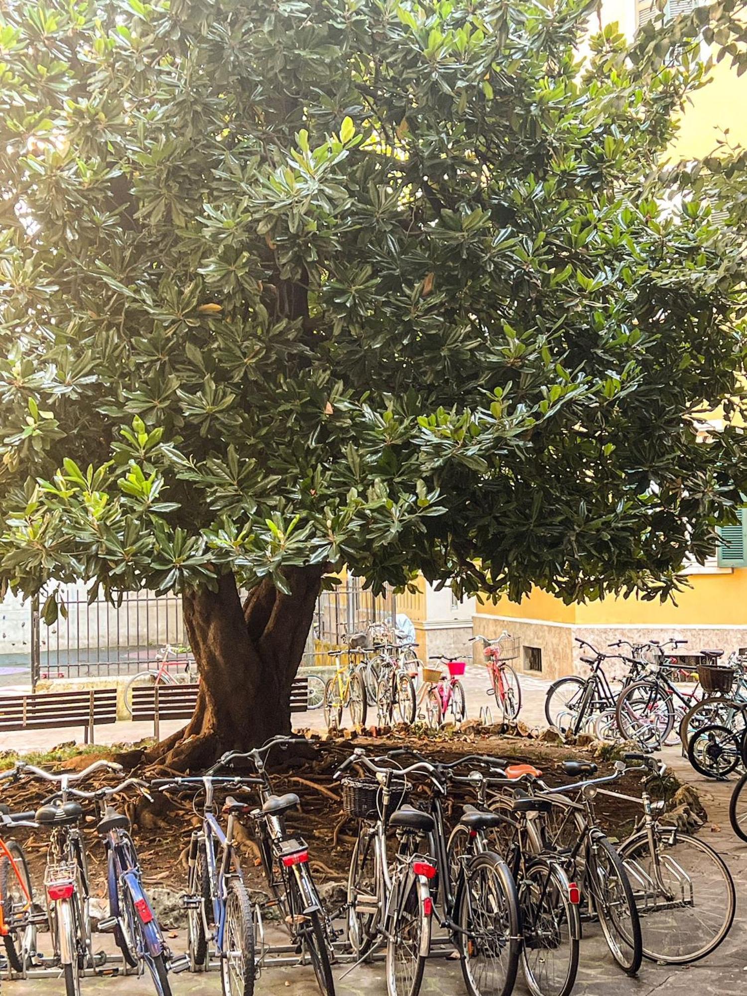 Apartamento Divini Gae Aulenti Milán Exterior foto